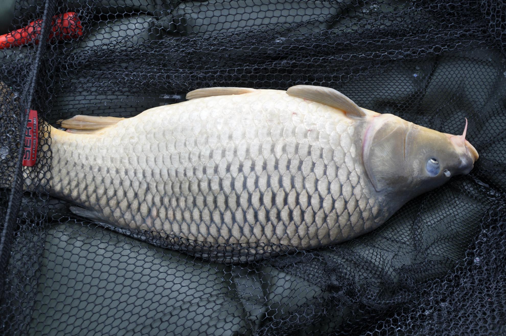 MV 2 - 09/06/2013 - dsc0010.JPG